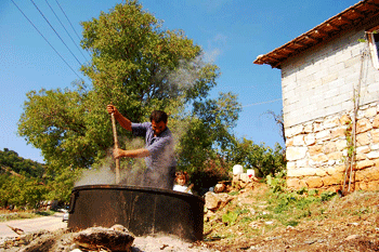 Kırma Yeşil Zeytin