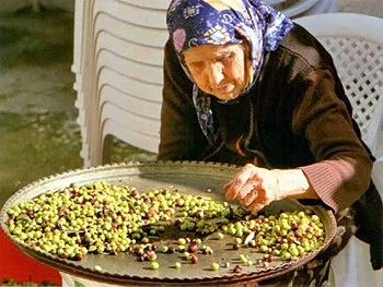 Kırma Yeşil Zeytin